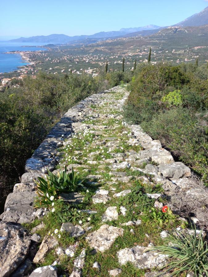 Villa Pefnos Agios Nikolaos  Esterno foto