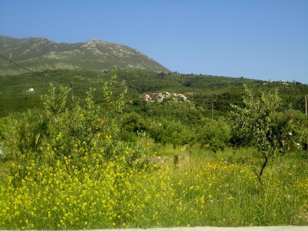 Villa Pefnos Agios Nikolaos  Esterno foto